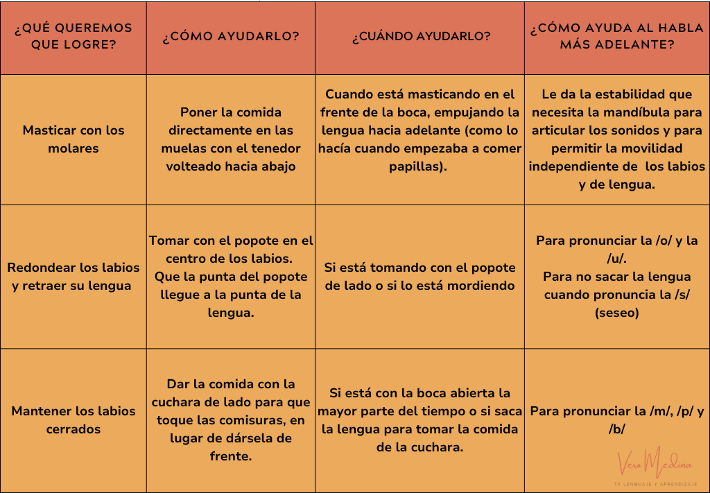 Cuadro relación alimentación y habla Vero Medina